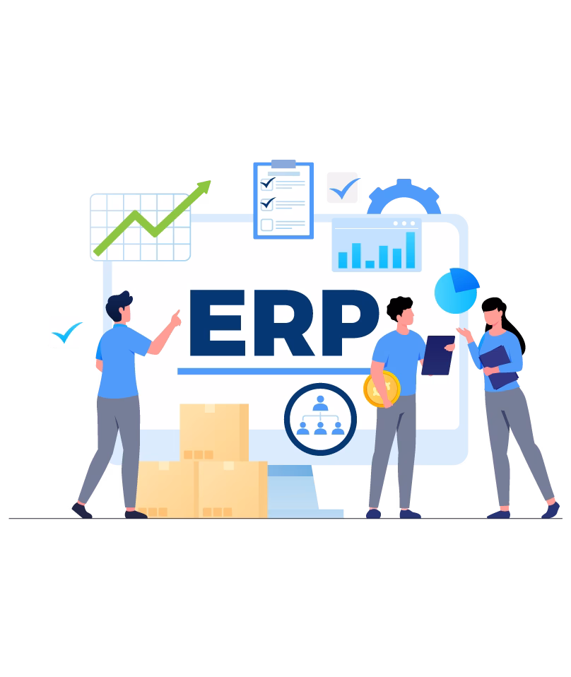 ERP Support